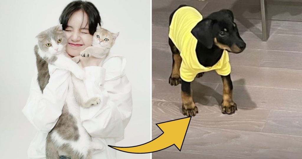 Lisa de BLACKPINK présente le nouveau membre de la “famille L” : un chien.