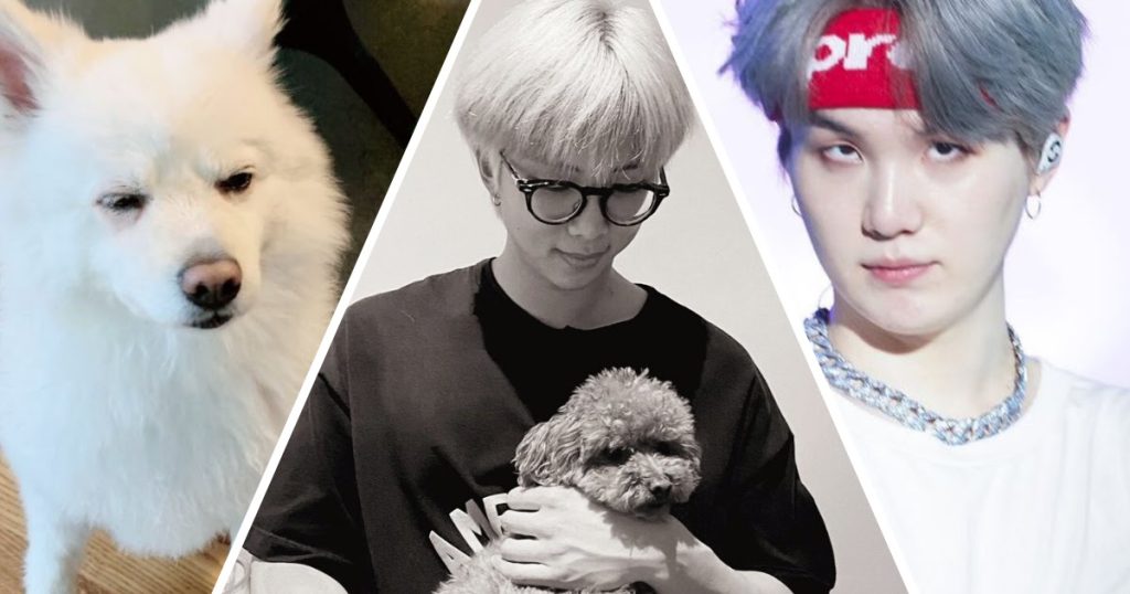 Voici la saga complète de la réaction d’ARMY à l’apparition surprise d’Holly dans le message d’anniversaire de BTS RM.