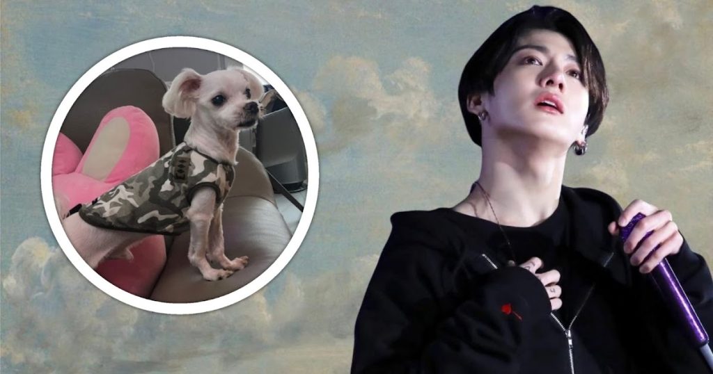 Les ARMY présentent leurs condoléances à Gureum, le chien de la famille de BTS Jungkook, après son décès.