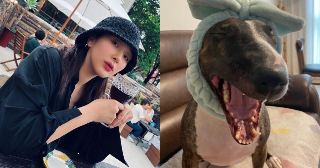Le chien du rappeur Giant Pink est accusé d’avoir mordu et tué le chien d’un citoyen dans un parc.
