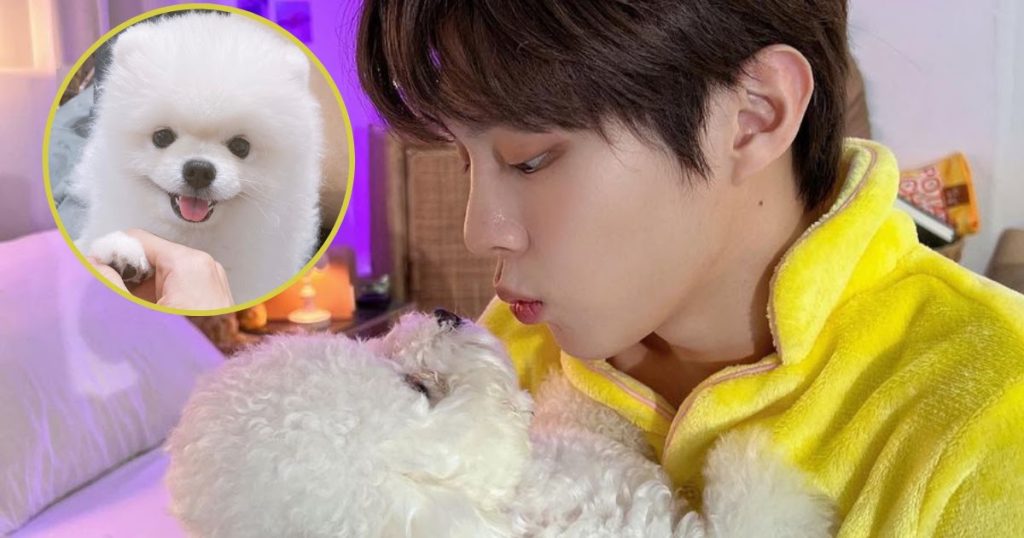 Des internautes soupçonnent Kim Wooseok, membre d’UP10TION, de négliger ses animaux et de les utiliser uniquement pour avoir de l’influence.