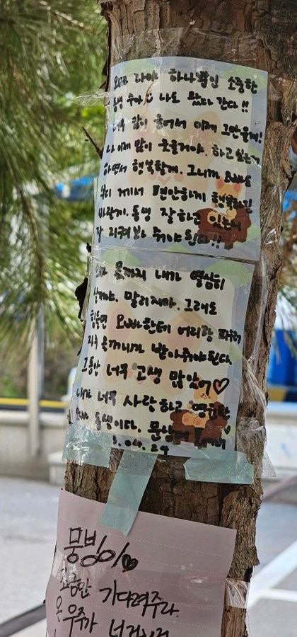 Moon Sua Leaves Notebook at Moonbin’s Memorial, Handwritten Notes Move Fans to Tears