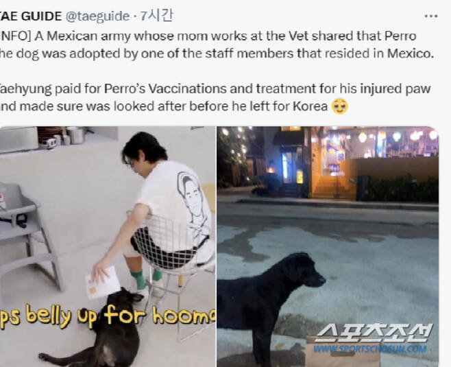 BTS V pays for medical treatment and adoption of a dog during filming of “Jinny’s Kitchen” in Mexico