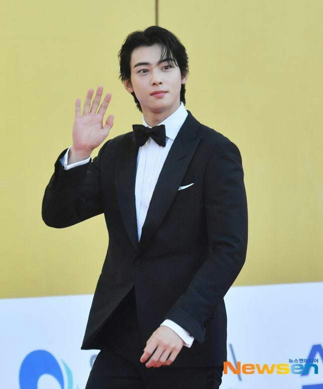 Lawmakers Push So-Called “Cha Eun Woo Prevention Act” Amid Tax Evasion Controversy